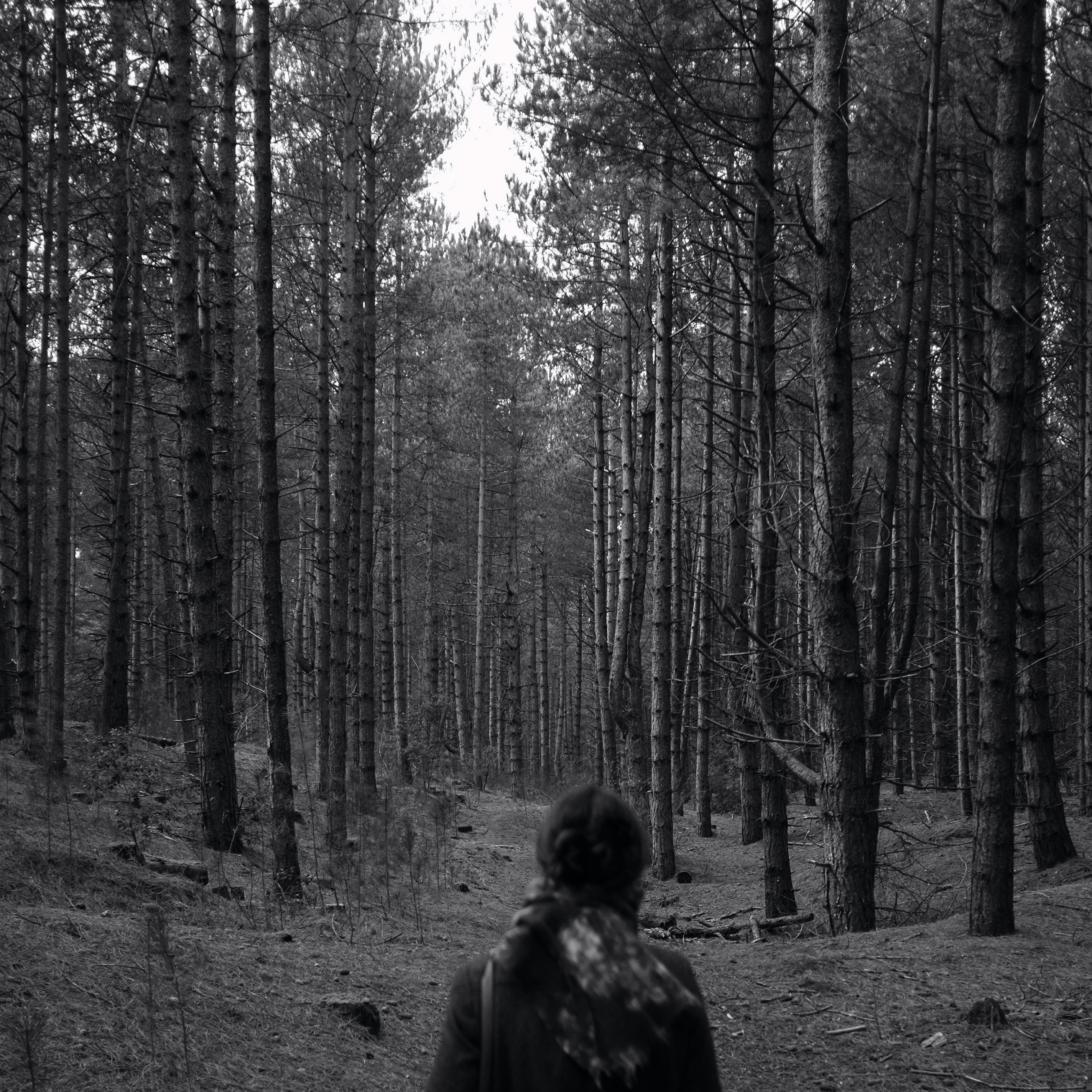 Photo by tomasrobertson