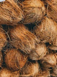shallow focus photo of coconut shells