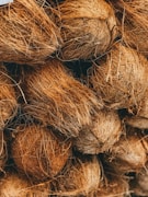 shallow focus photo of coconut shells