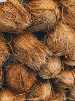 shallow focus photo of coconut shells