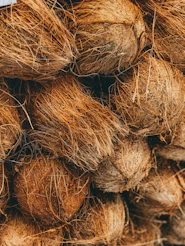 shallow focus photo of coconut shells