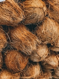 shallow focus photo of coconut shells