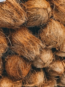 shallow focus photo of coconut shells