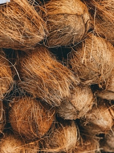 shallow focus photo of coconut shells