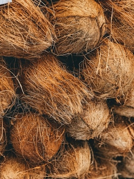 shallow focus photo of coconut shells