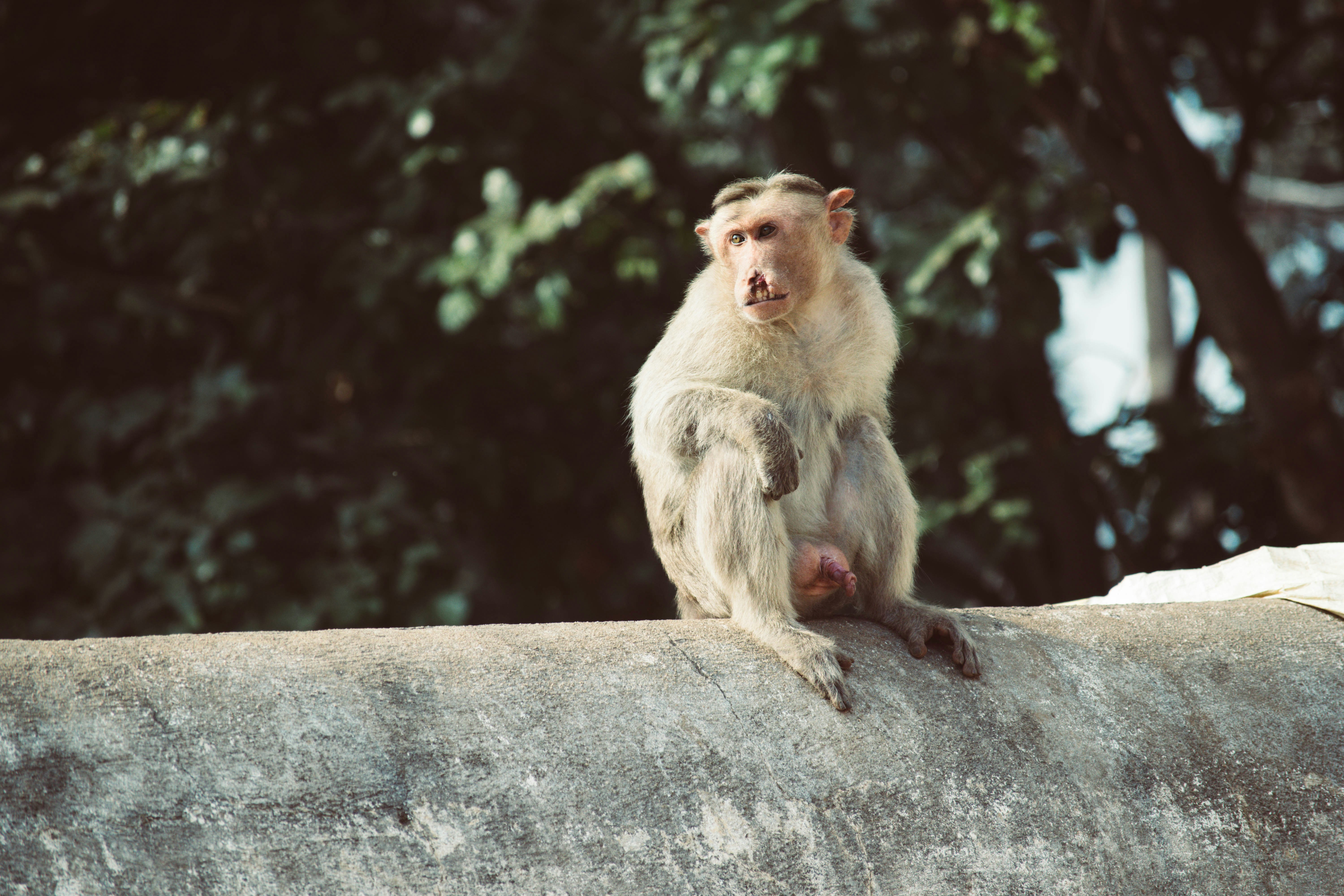 Photo by bharath_barry