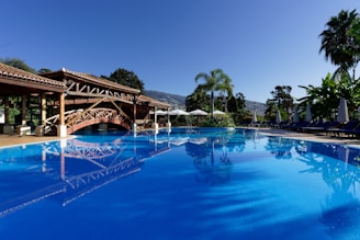 A serene swimming pool with a spa area in a sunny environment.