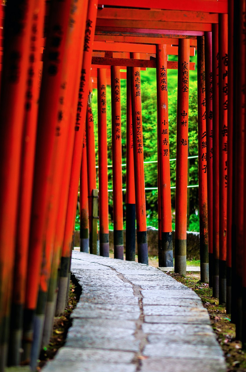 narrow pathway with red metal rails during daytime