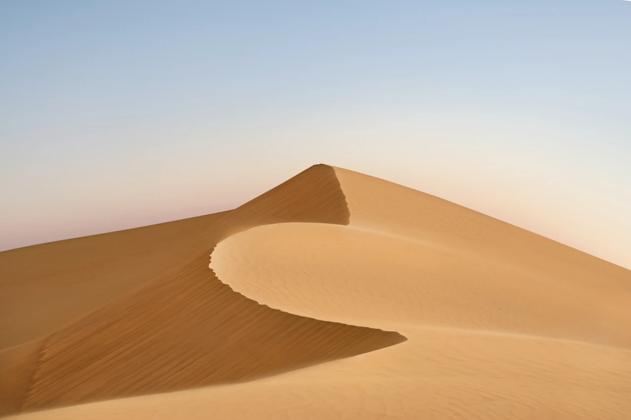 Experiences & Desert