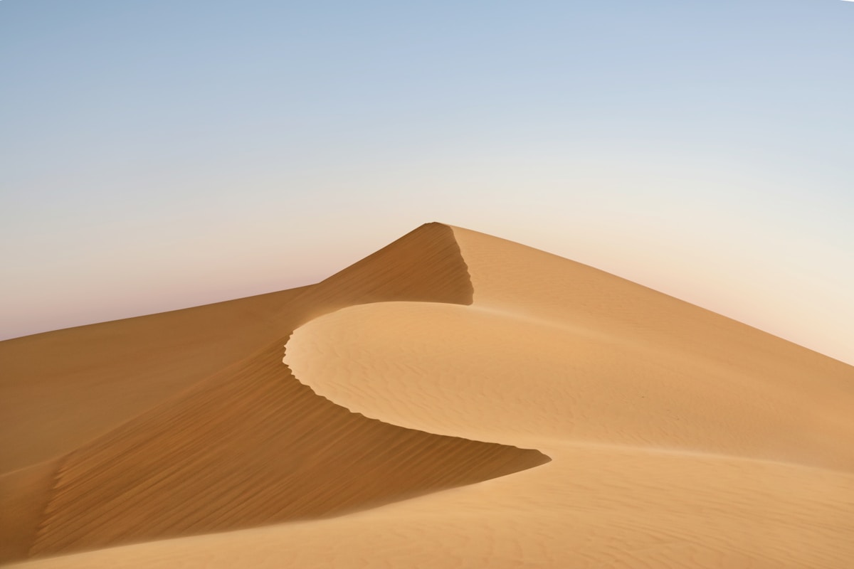 Dune 2