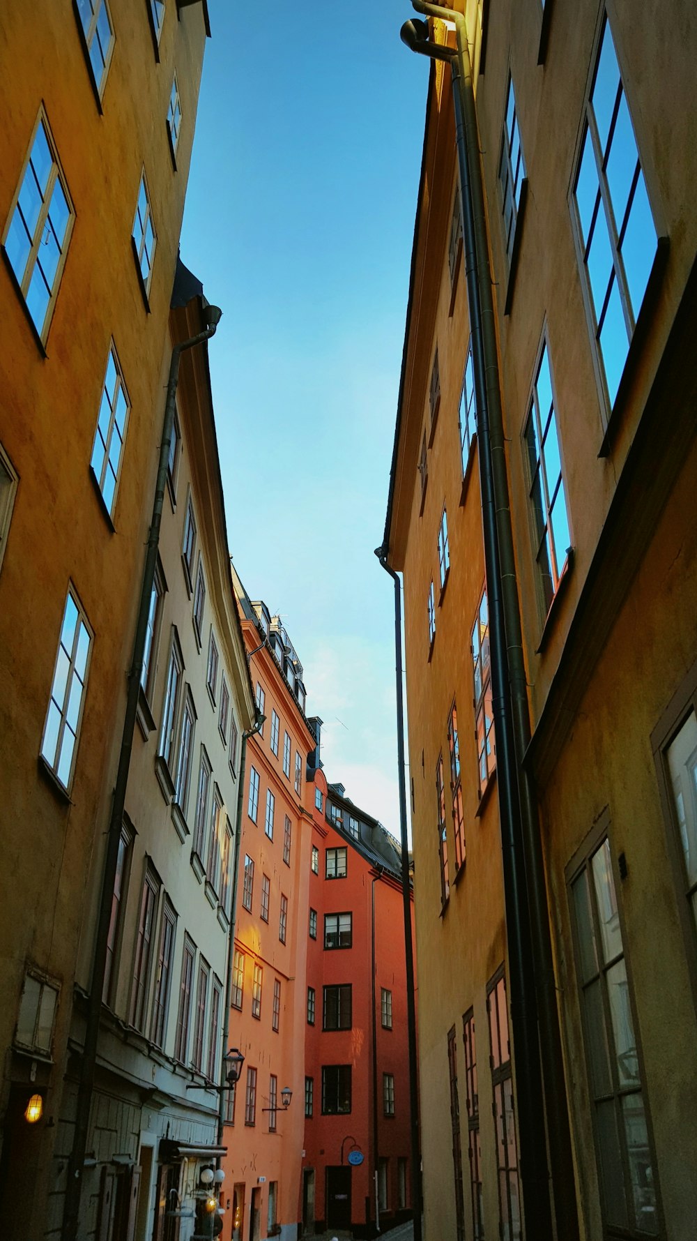 narrow pathway between buildings