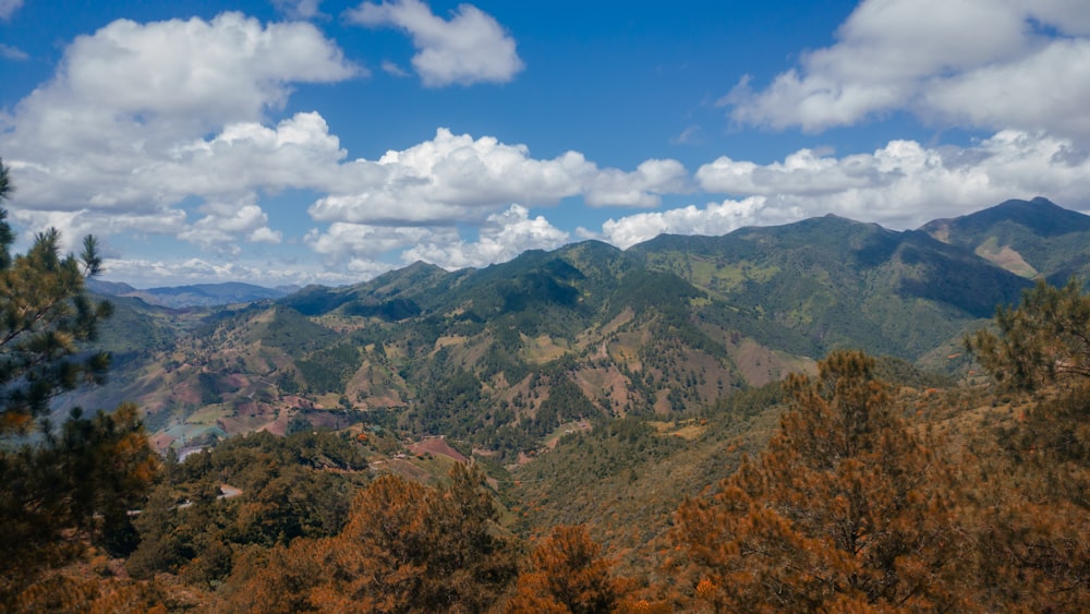 forest and mountains under blue and white sky