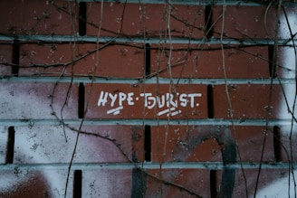 A brick wall shows graffiti text reading 'HYPE' and 'BURST' in white paint. The wall has some faded spray paint markings around the text and is overgrown with vines.