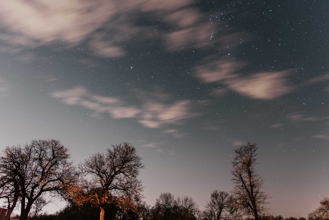 photo of white clouds on top of trees