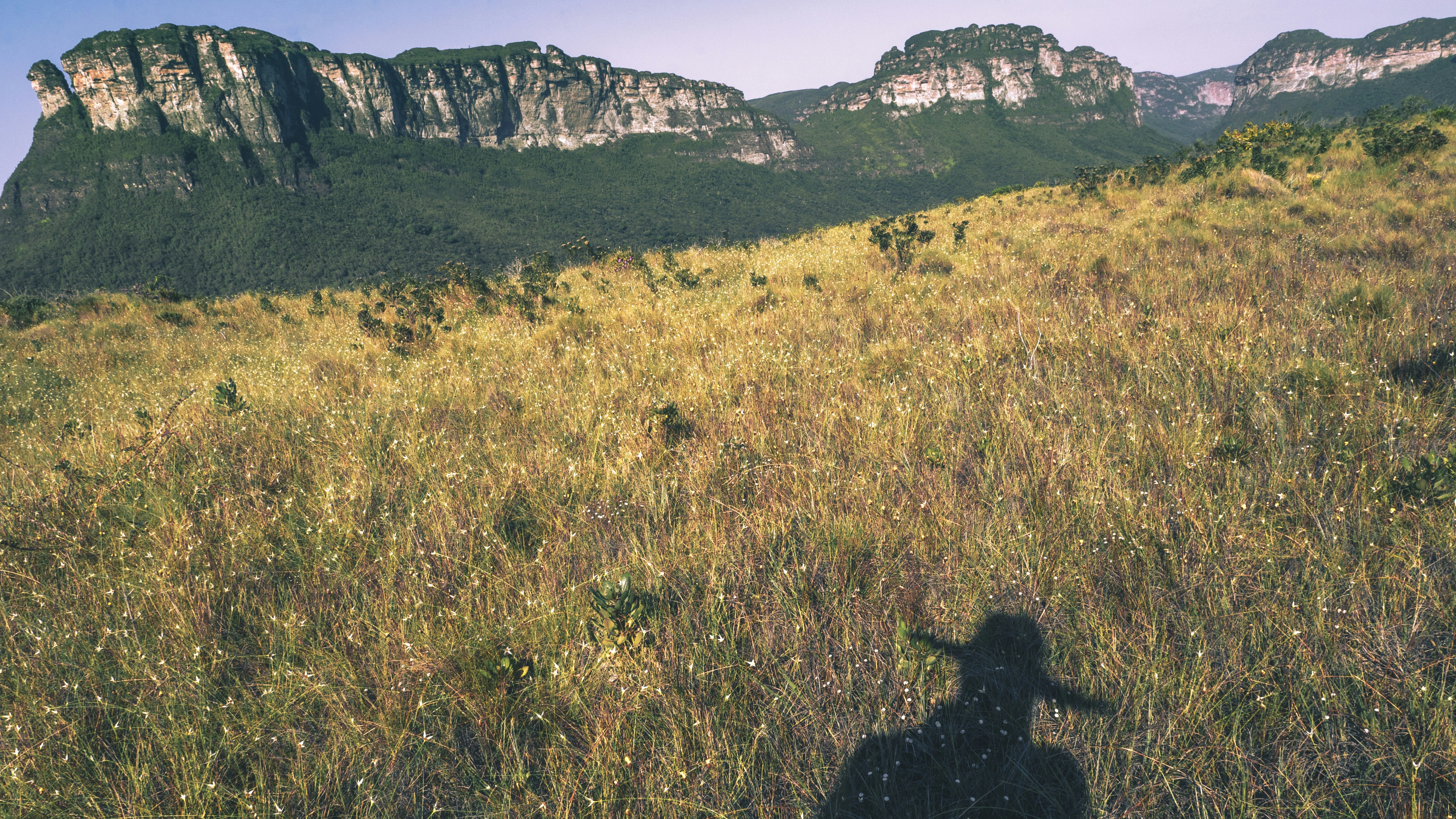 a shadow of a person in a field with mountains in the background