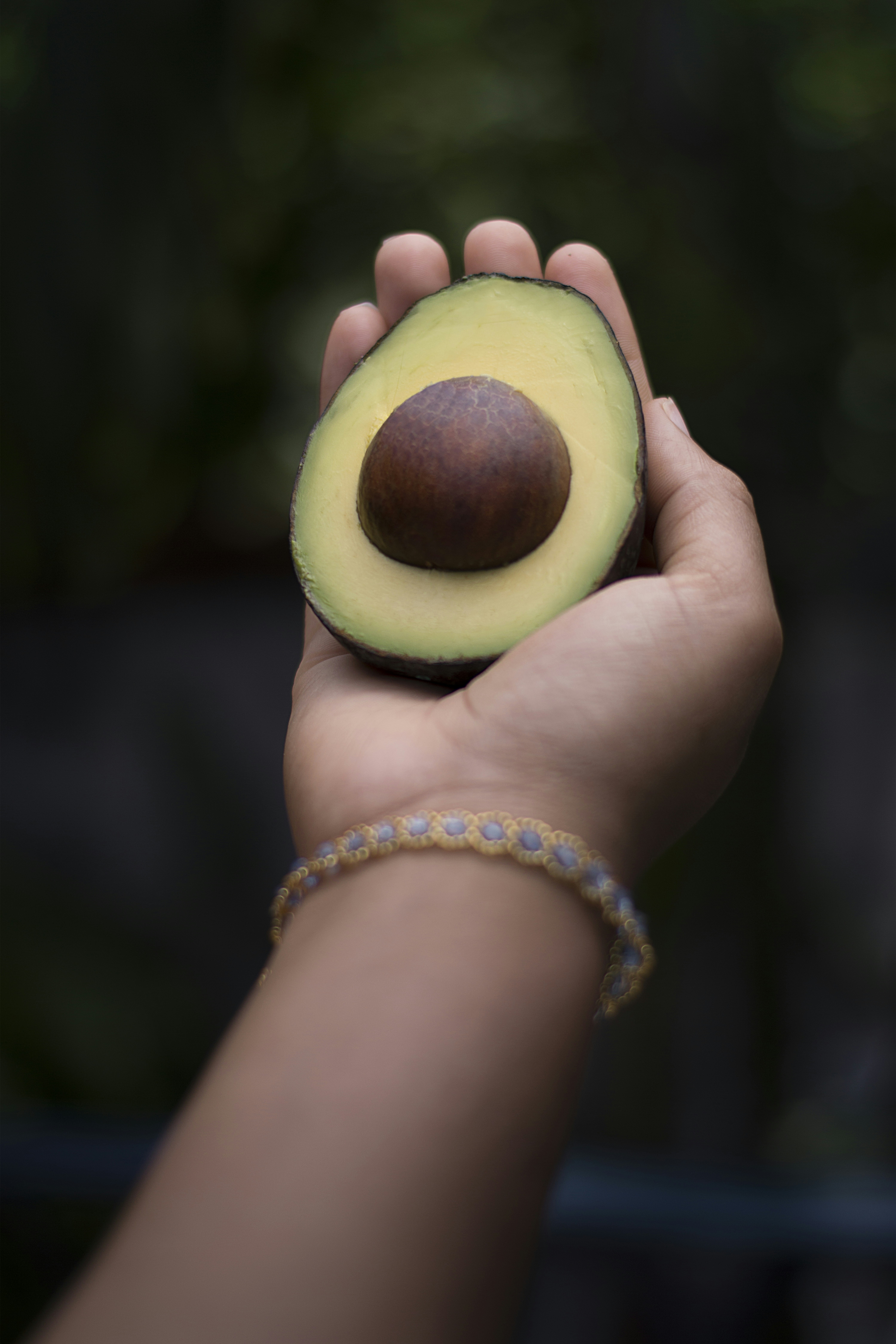 Gut Bacteria Treatment May Help Manage MS Symptoms