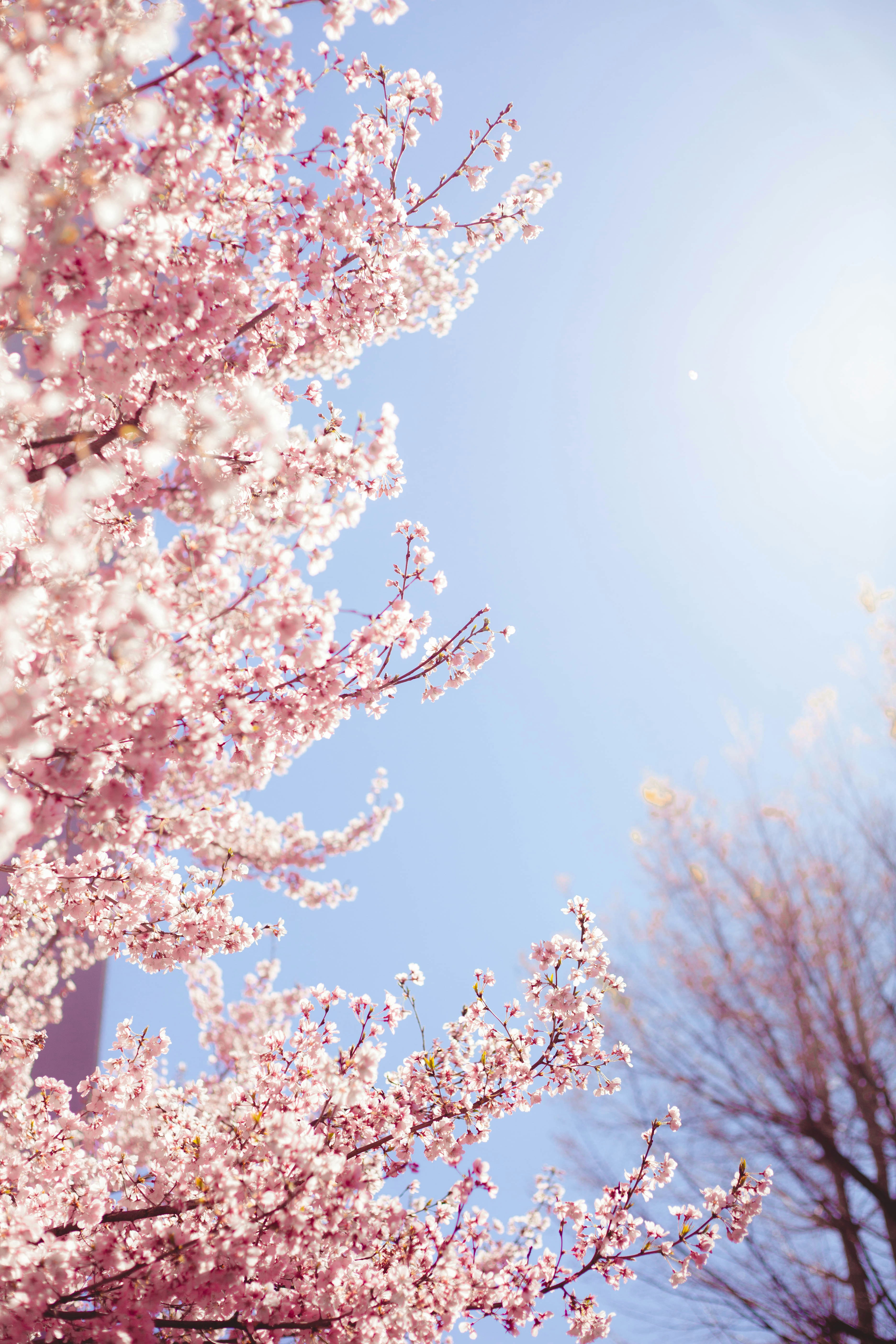 Photo by charlespostiaux