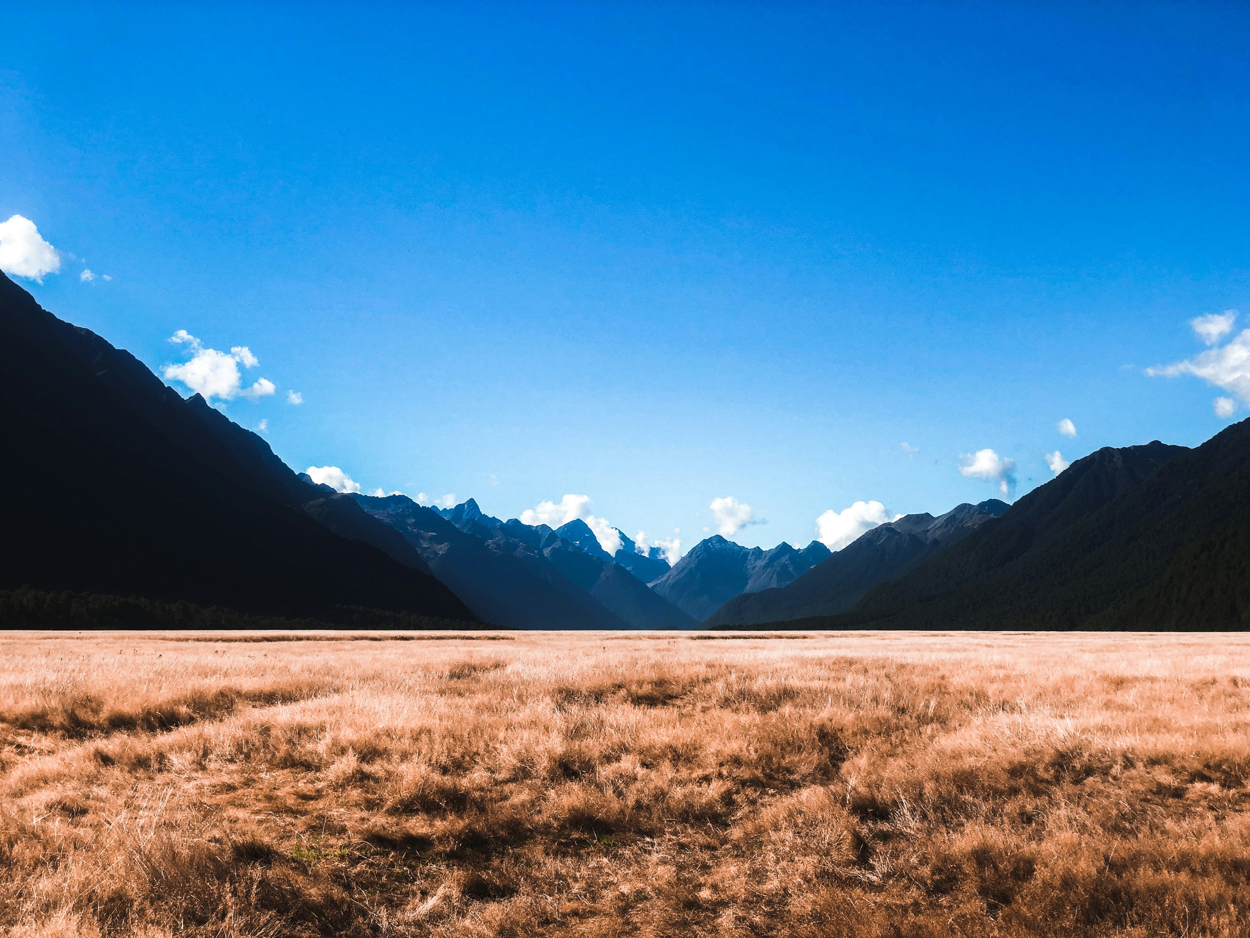 Photo by gabrielmagalhaes