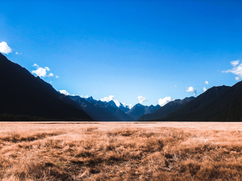 brown grass surrounded with mountains under blue sky