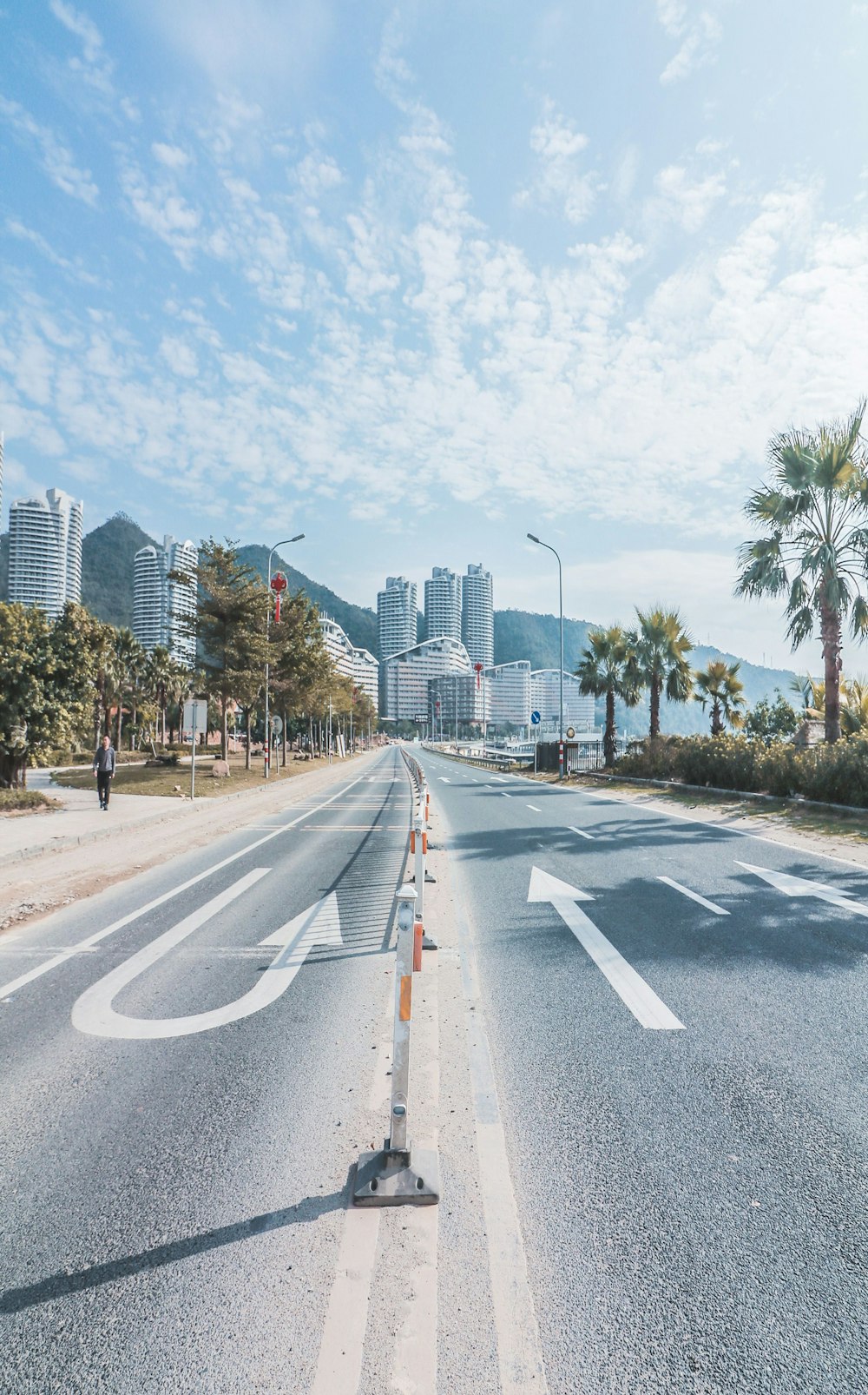 empty road way surrounded with trees at daytime