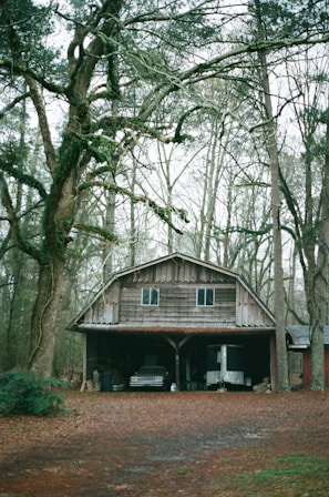 A rustic wooden barn with a slightly weathered appearance is nestled among tall trees. The surrounding trees are bare, suggesting a fall or early winter setting. The barn has a metal roof and is partly open at the front, revealing an old vehicle and some equipment stored inside. The ground is covered with fallen leaves and the color palette is muted with earthy tones.