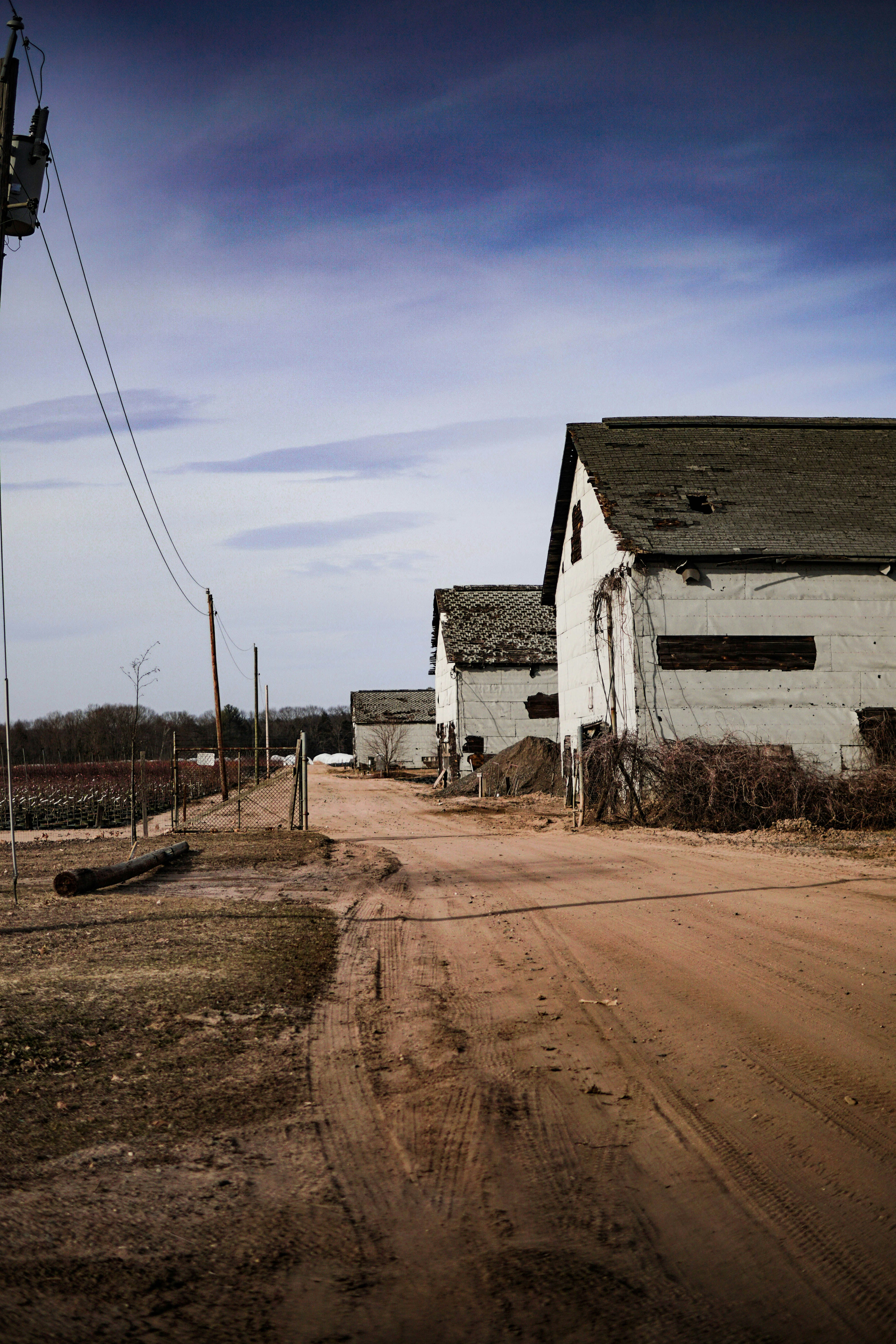 Photo by directedbyshawn