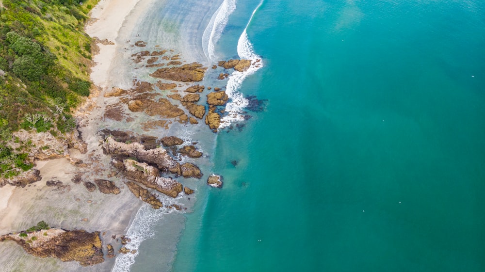 aerial view of beach during daytime