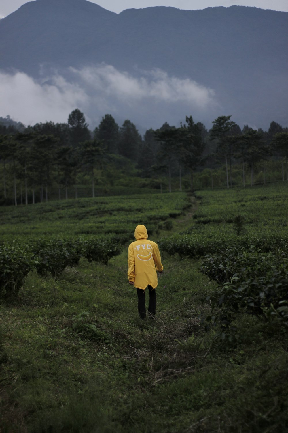 person standing on grass field front of mountain