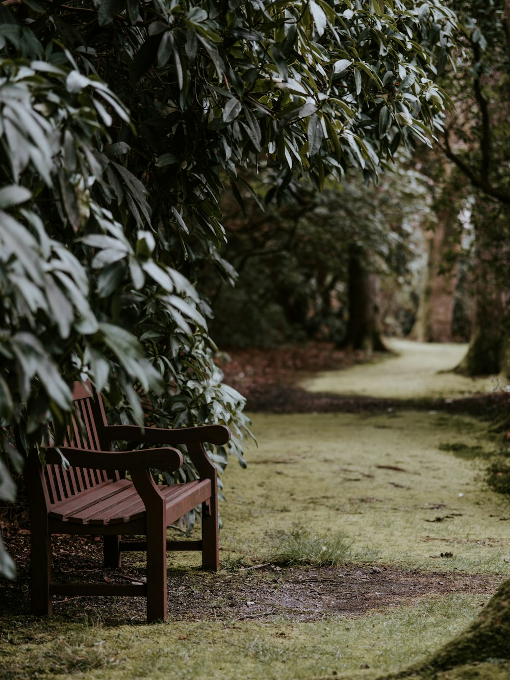 공원의 갈색 나무 벤치 의자