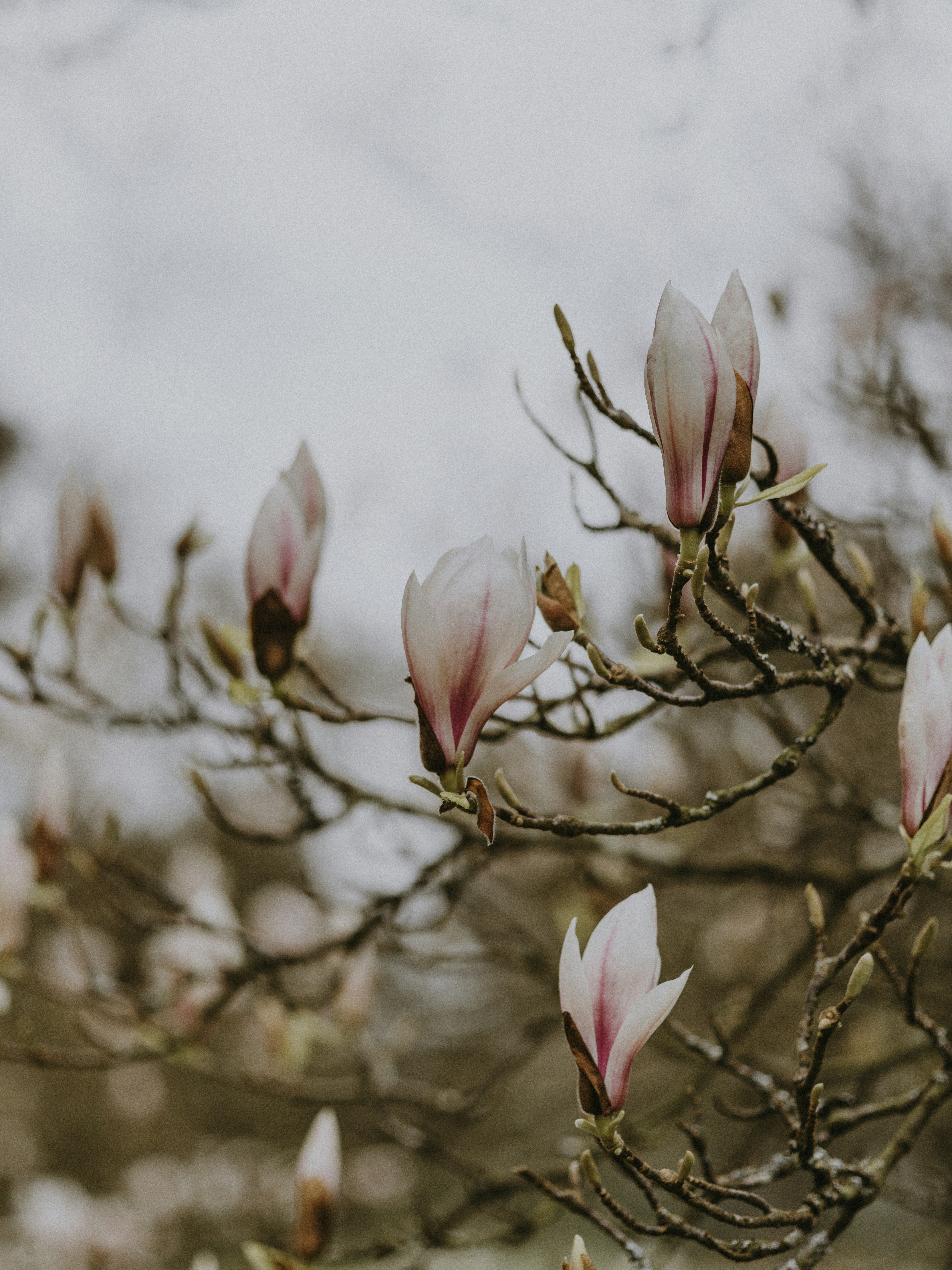 Photo by anniespratt