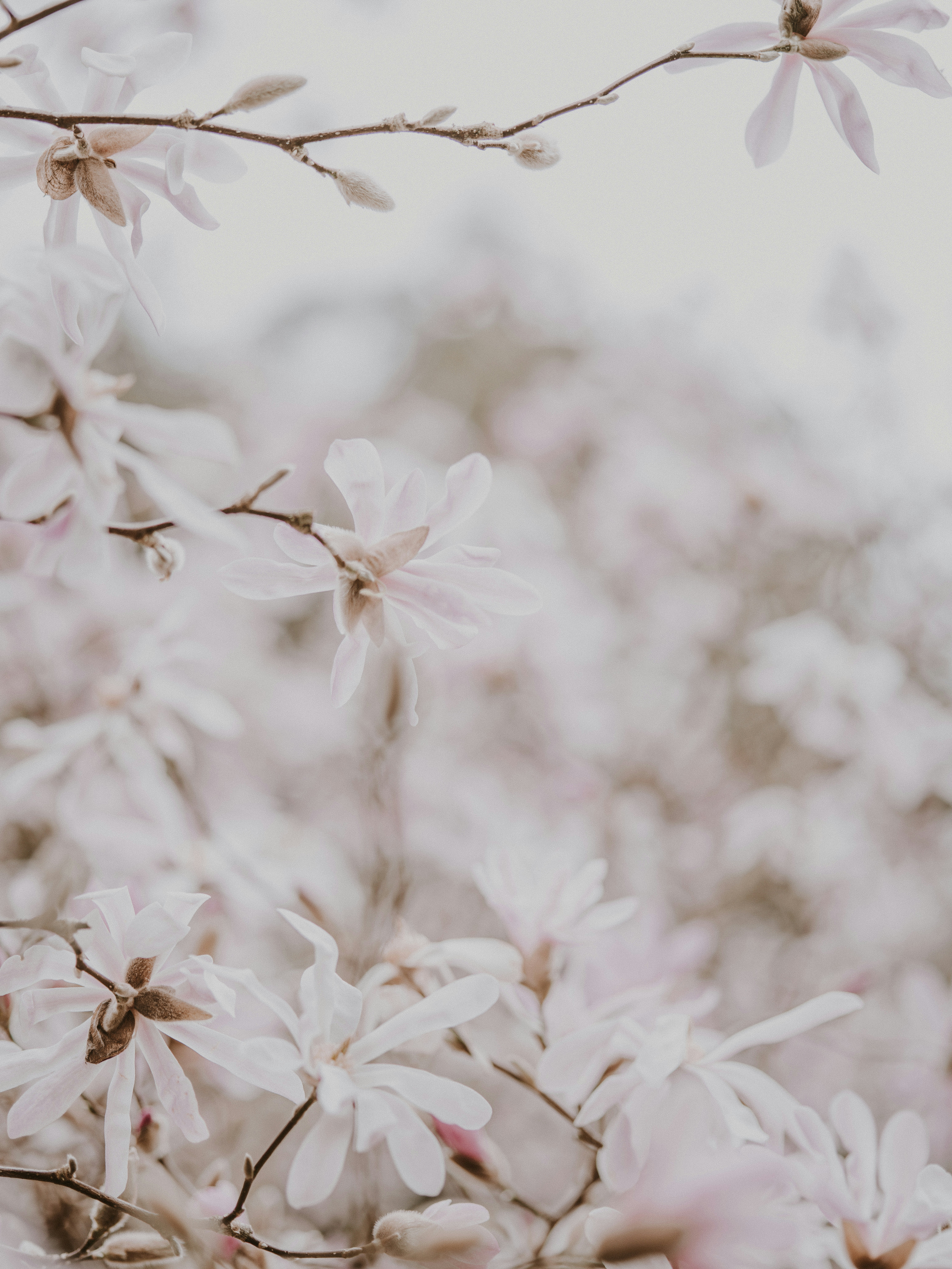 Photo by anniespratt