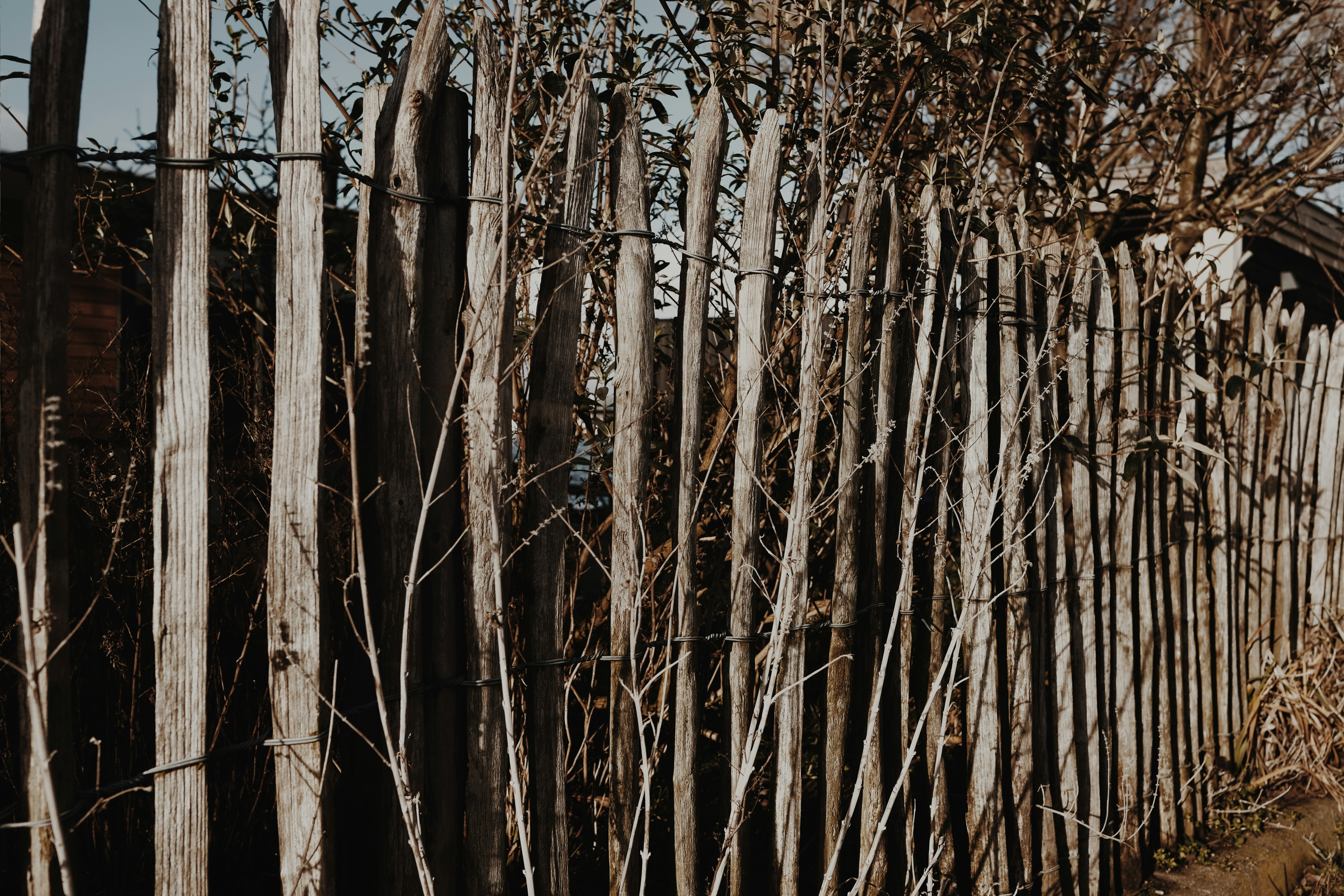 Photo by voyallaround