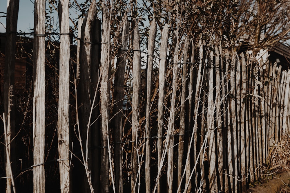 brown wooden fence