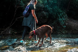A person with long hair and a backpack is seen walking alongside a large brown dog across a shallow stream. The person is dressed in outdoor clothing and the dog is wearing a red collar. Surrounding them are dense green foliage and tree branches. Water droplets are visible around the dog's legs, indicating movement through the water.