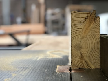 A piece of wood with visible tree rings is positioned upright on a table saw. Sawdust is scattered around, indicating recent cutting activity. The background shows a blurred interior of a workshop or carpentry setting.