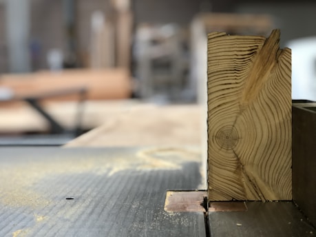 A piece of wood with visible tree rings is positioned upright on a table saw. Sawdust is scattered around, indicating recent cutting activity. The background shows a blurred interior of a workshop or carpentry setting.