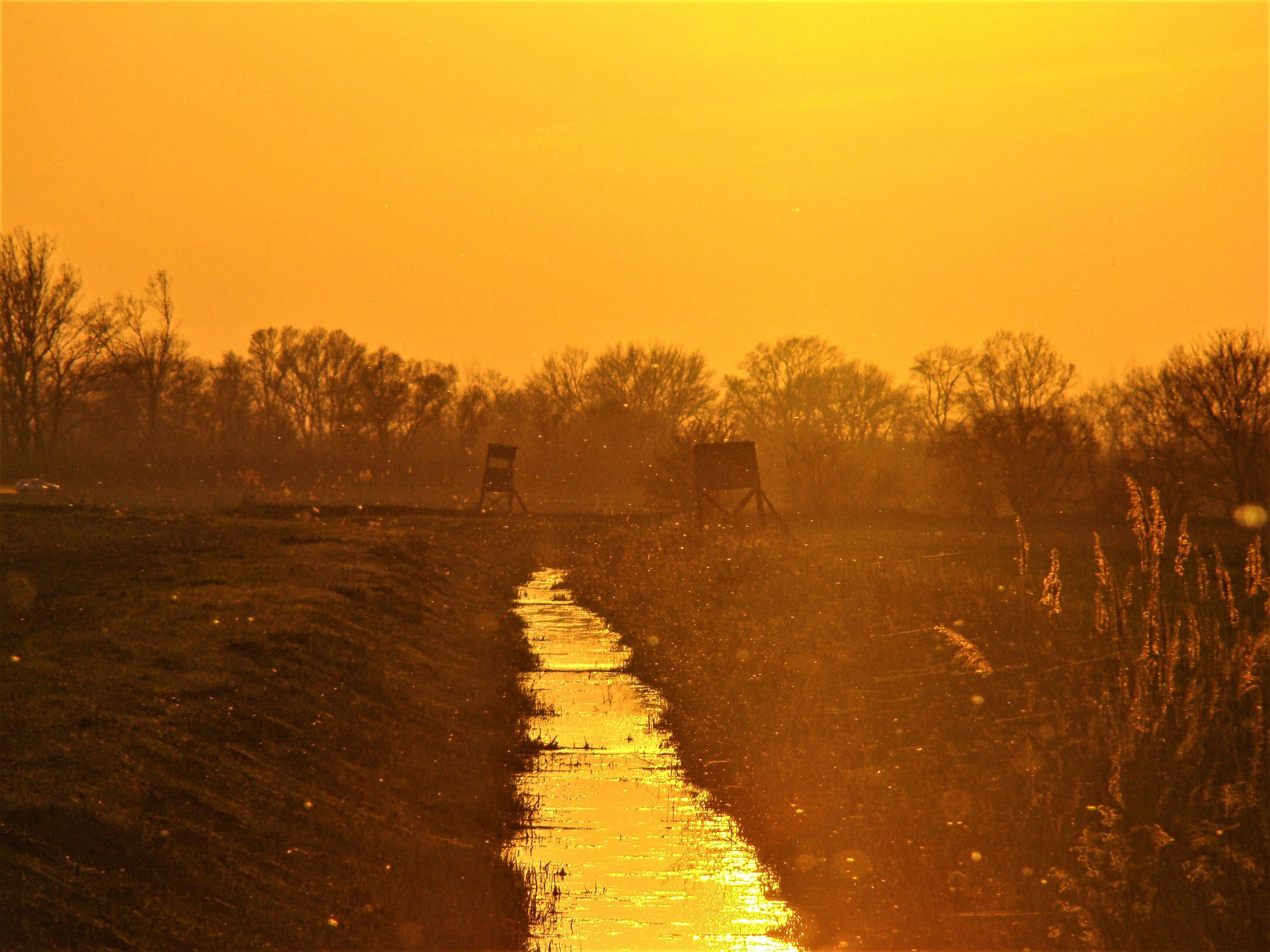 brown grass field photography