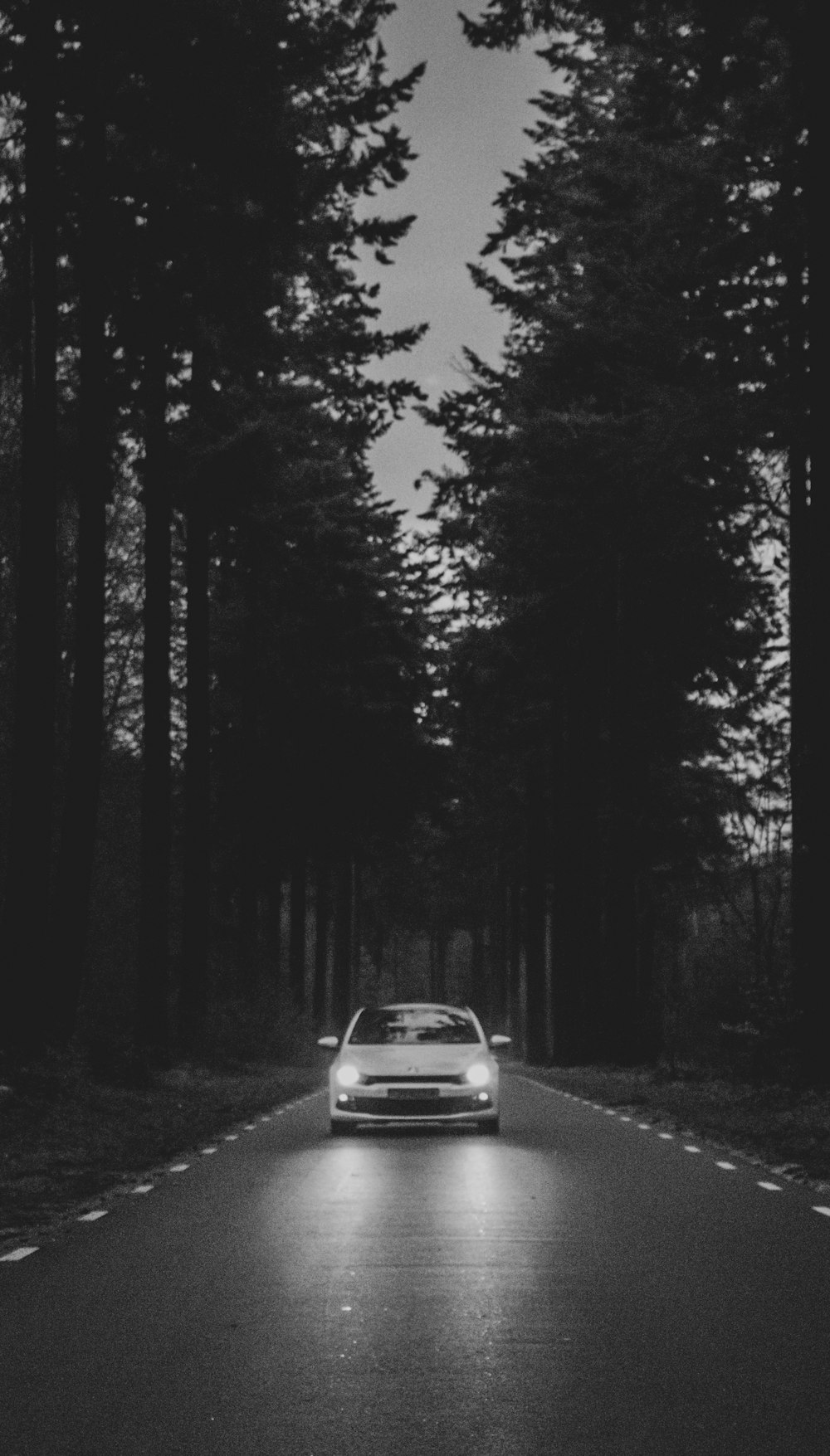 car passing through road between trees