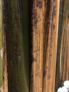Close-up of natural wood textures used in eco-friendly construction