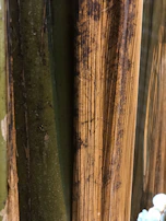 Close-up of sustainable materials used in interior wall finishes with earthy tones.