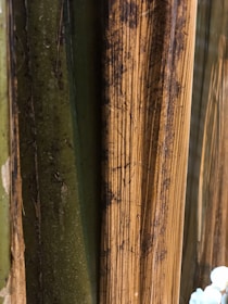Close-up of vertical wooden or bamboo-like textured surfaces featuring natural green and brown colors, with visible grain and weathered appearance.
