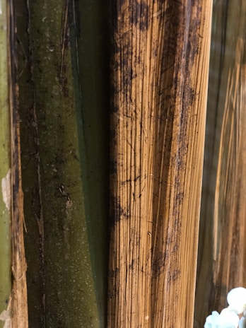 Close-up of natural brown coco fiber texture with green leaves background.