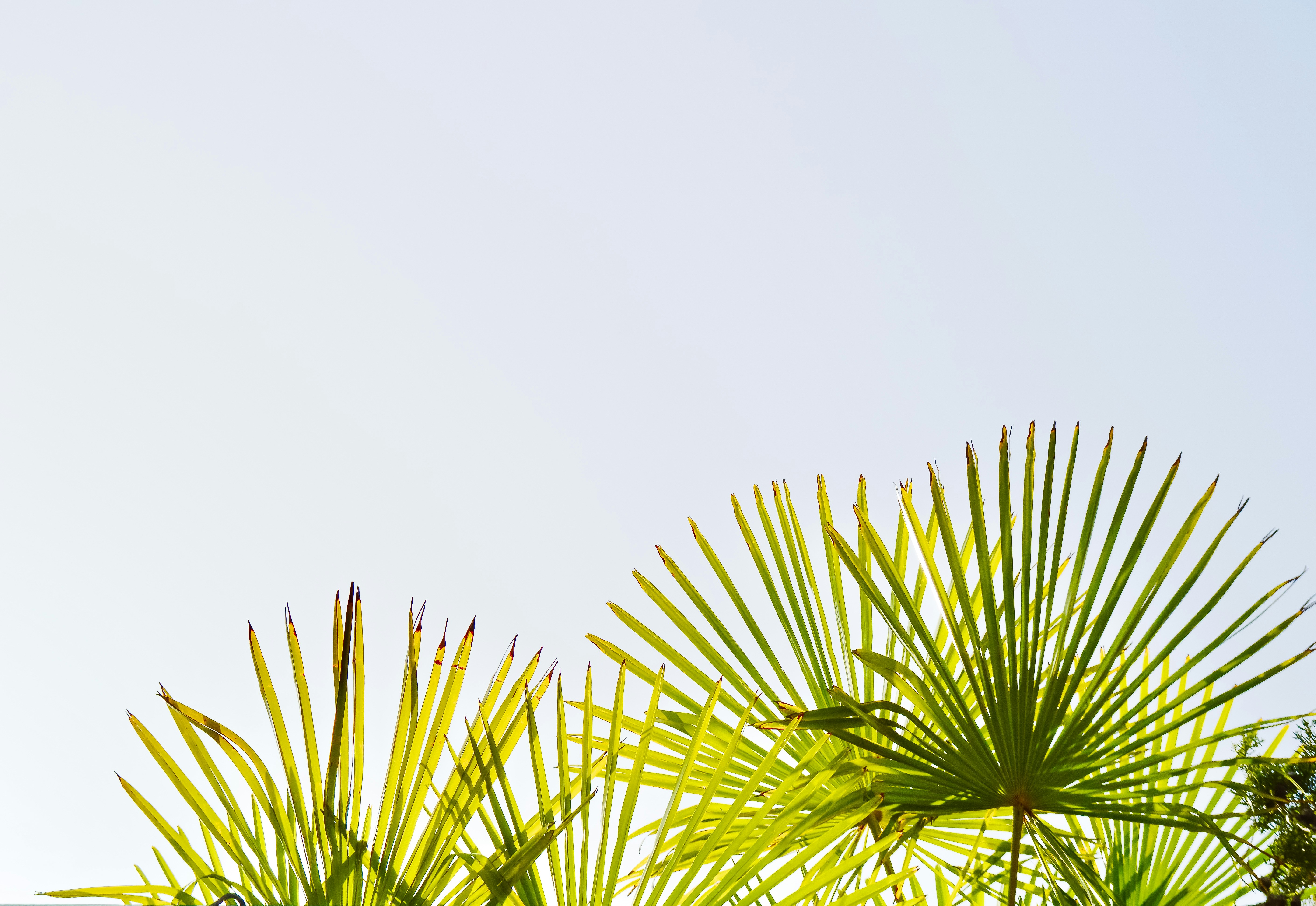 Photo by herfrenchness