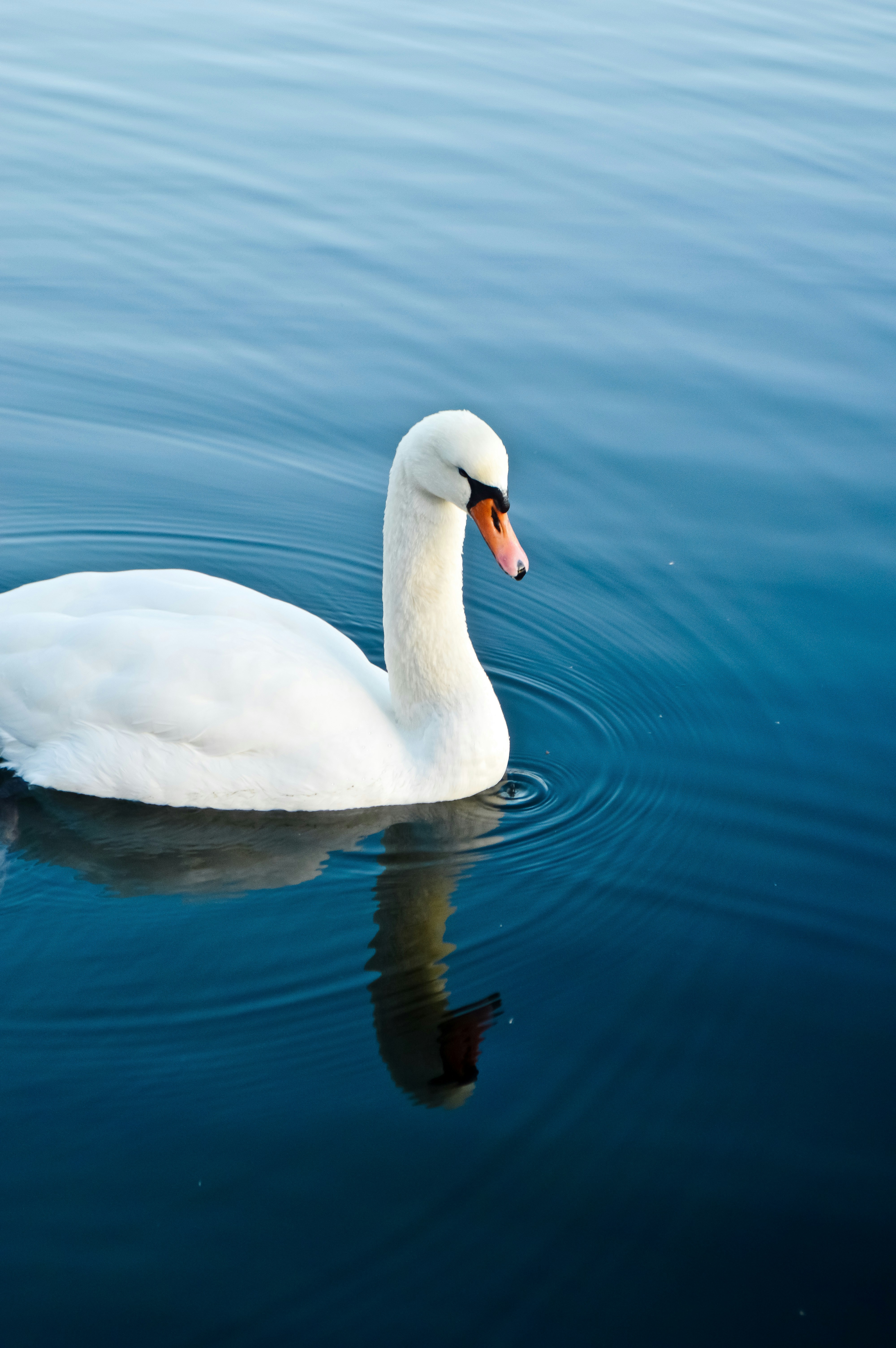 Photo by herfrenchness