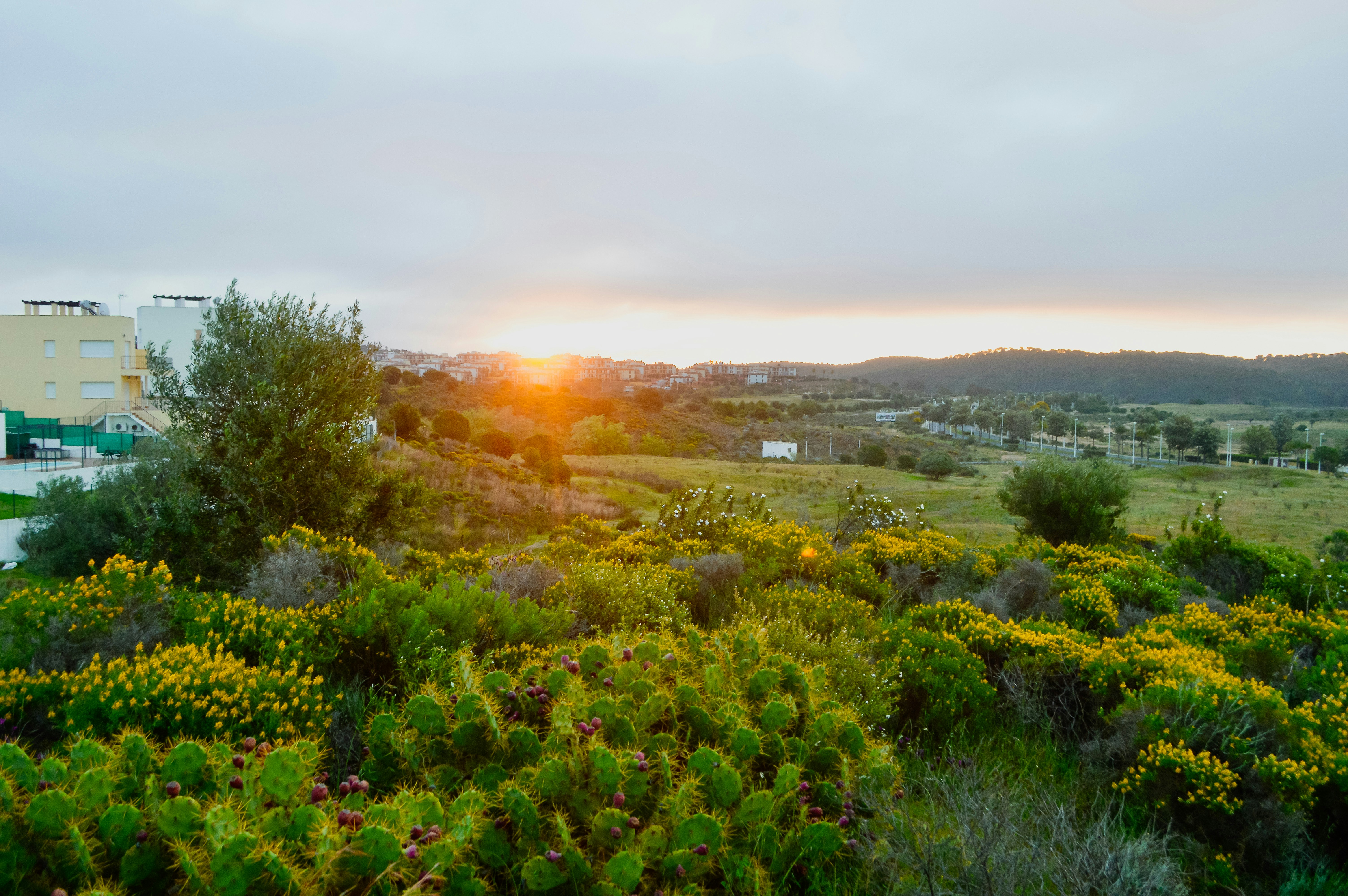 Photo by herfrenchness