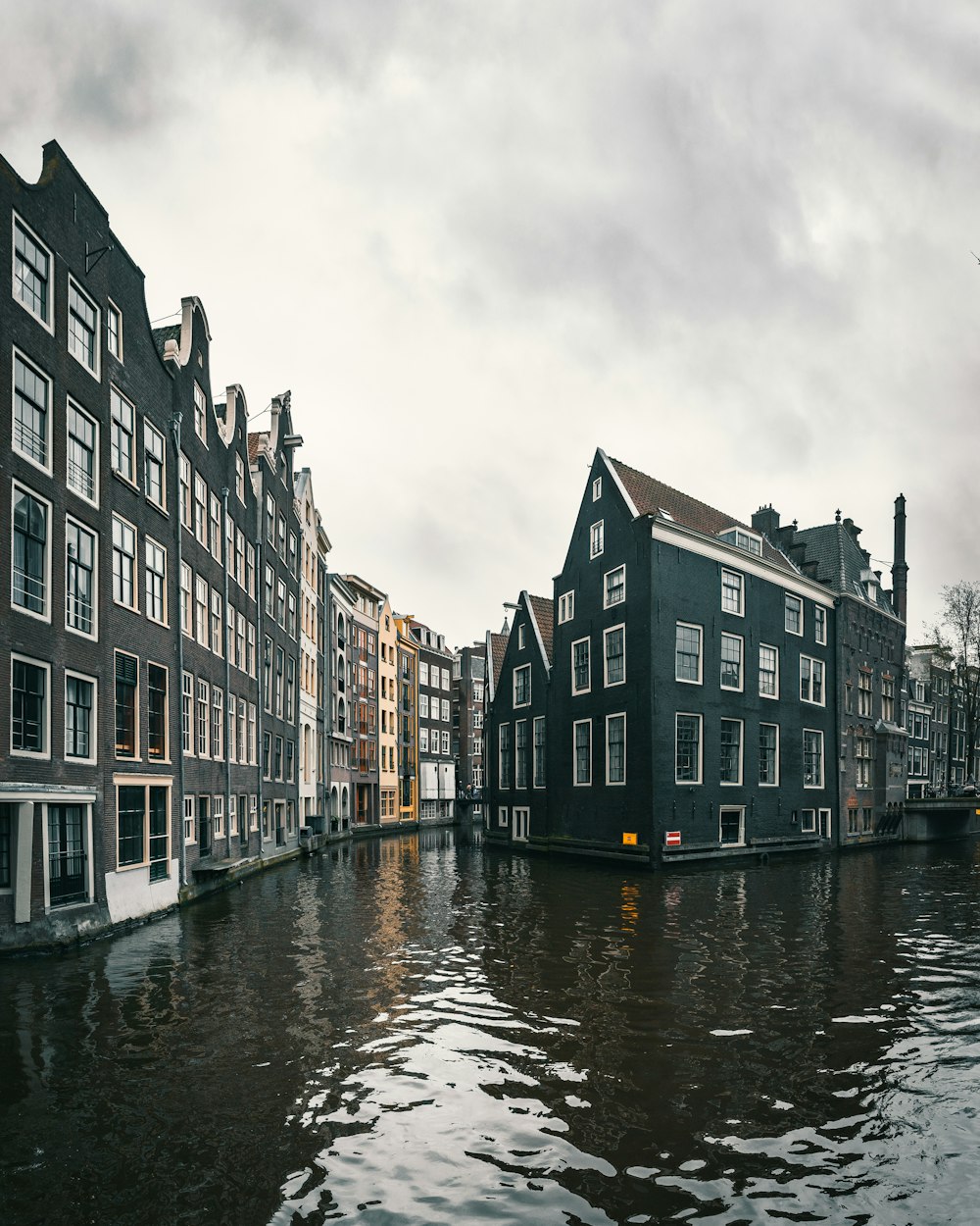 two black-and-white buildings near body of water