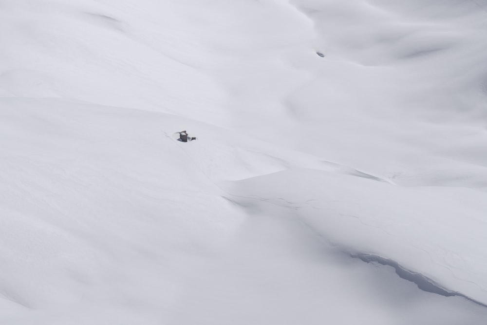 person playing ski blade on snow field