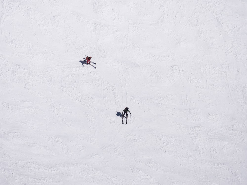 two skiers on snowfield