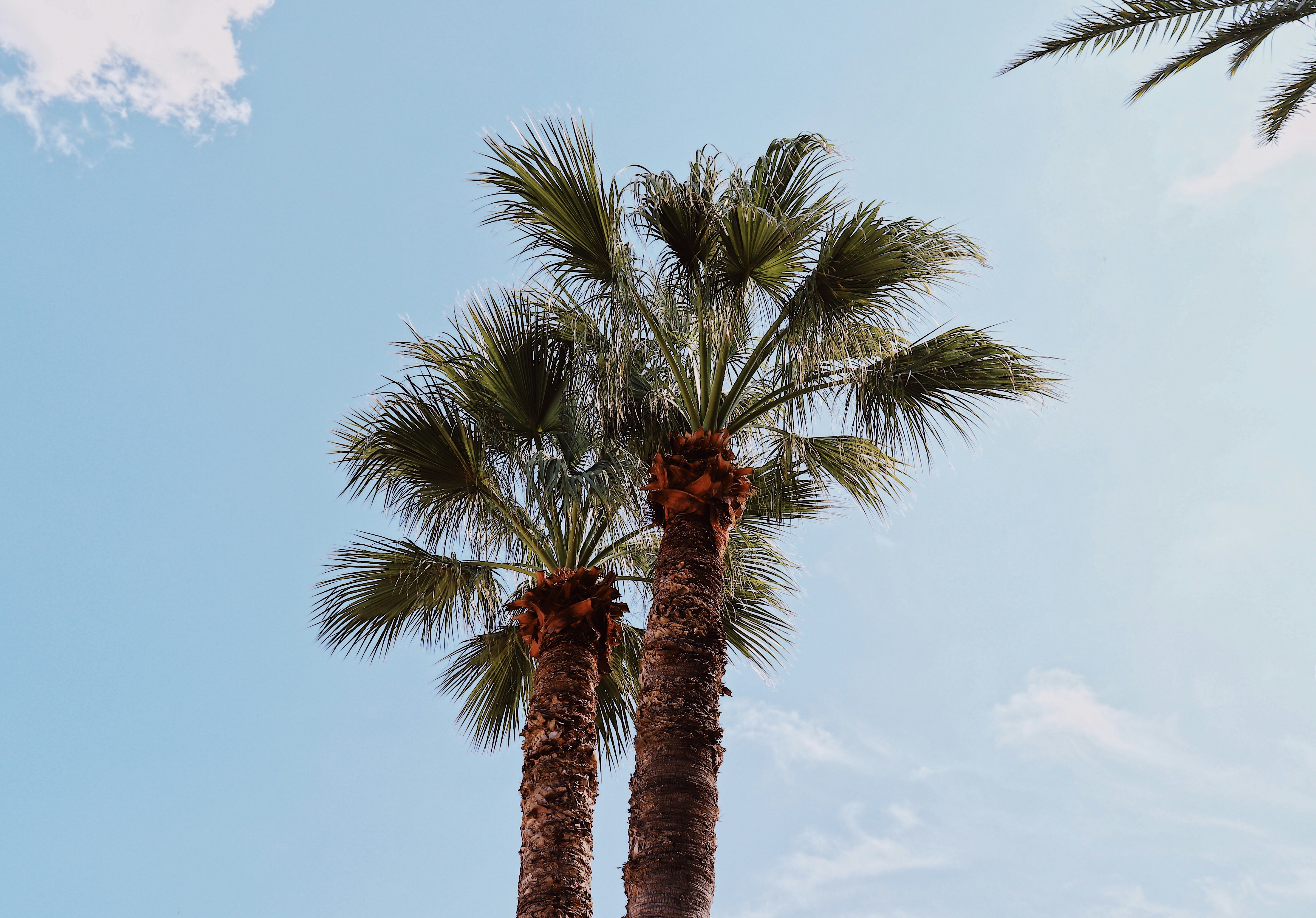 Photo by burakkarakus