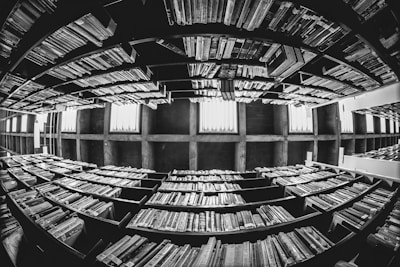 mirror image of bookcase